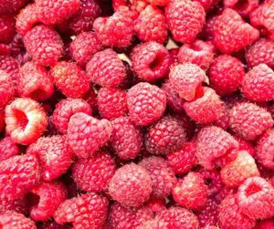 Raspberry Farming Business Plan For Beginners