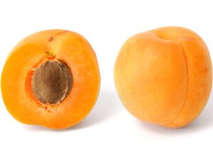 Apricot