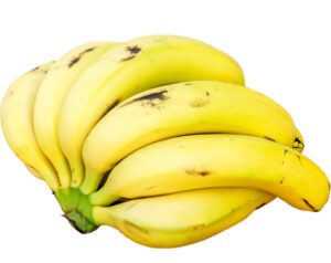 Banana Farming: Business Plan for Beginners