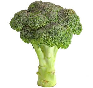 Broccoli Farming Business Guide For Beginners