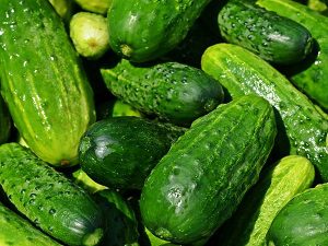 cucumbers, can dogs eat cucumbers, is cucumber safe for dogs