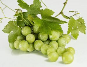 grapes, can dogs eat grapes, is grapes safe for dogs, can dogs eat grape