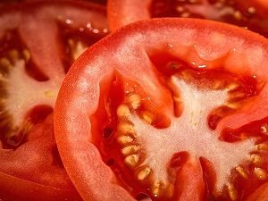 tomatoes, can dogs eat tomatoes, tomatoes benefits for dogs, can dogs eat tomato, is tomatoes safe for dogs