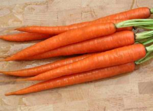 Carrot Farming: Best Business Plan For Beginners