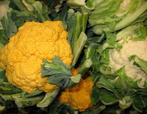 Cauliflower Farming: Best Business Plan for Beginners