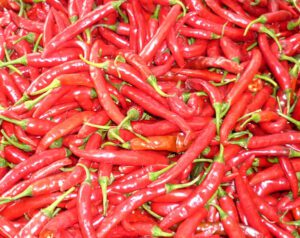 Chilli Farming: Best Business Guide For Beginners