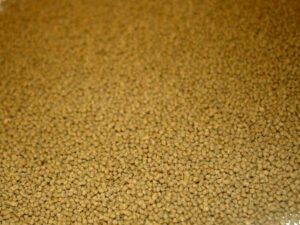 How to Make Supplementary Fish Feed Easily