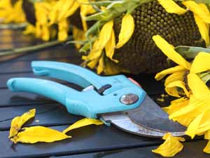 gardening shears, best gardening shears, best gardening shears in united states, best gardening shears in usa