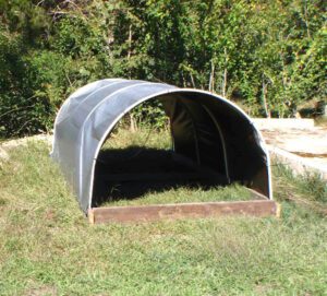 Do You Know How To Build A Goat Shelter/House