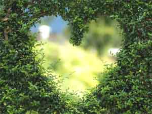 horticulture, agriculture