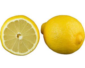 Lemon Farming: Best Business Guide & 15 Tips