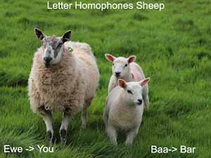 letter homophones sheep