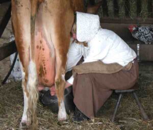 Milking2Ba2BCow2Bby2BHand