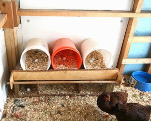 How to Build Chicken Coop Cubbies For Your Birds