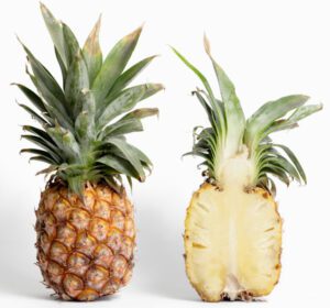 Pineapple Farming: Business Plan for Beginners