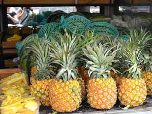 pineapple farming, pineapple farming faqs