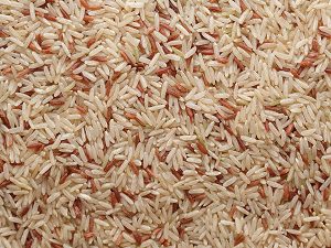 rice, staple food, sustainable food, versatile food, rice farming, rice production