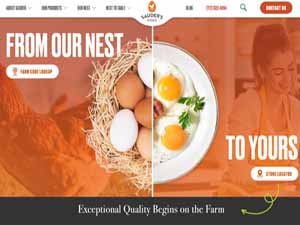 top egg brands, top egg brands, top eggs brand