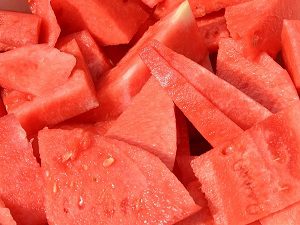 watermelon, can dogs eat watermelon, is watermelon safe for dogs, is watermelon good for dogs