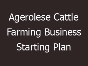 Agerolese Cattle Farming: Business Starting Plan